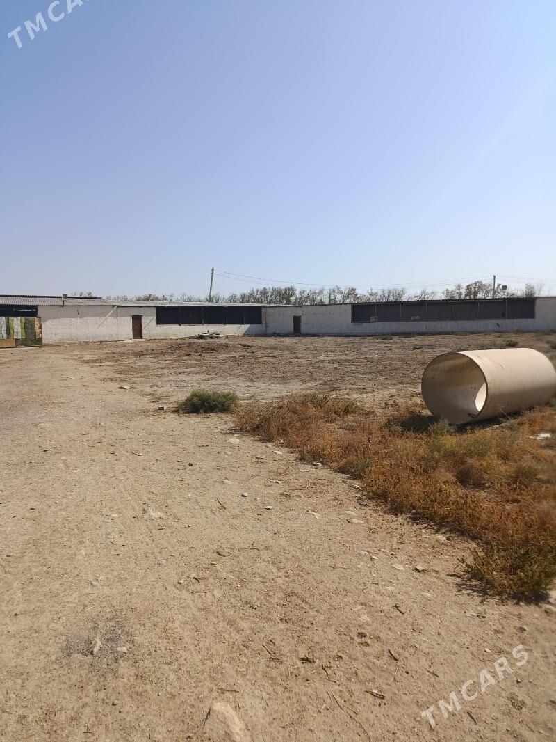 Ferma - Ак-Бугдайский этрап - img 3