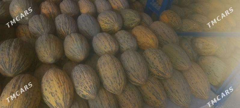 Gawun - Aşgabat - img 4