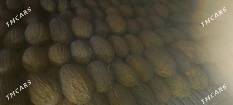 Gawun - Aşgabat - img 2