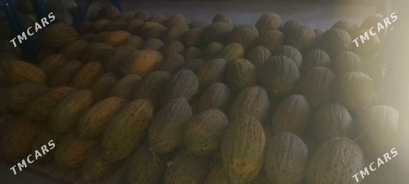 Gawun - Aşgabat - img 3