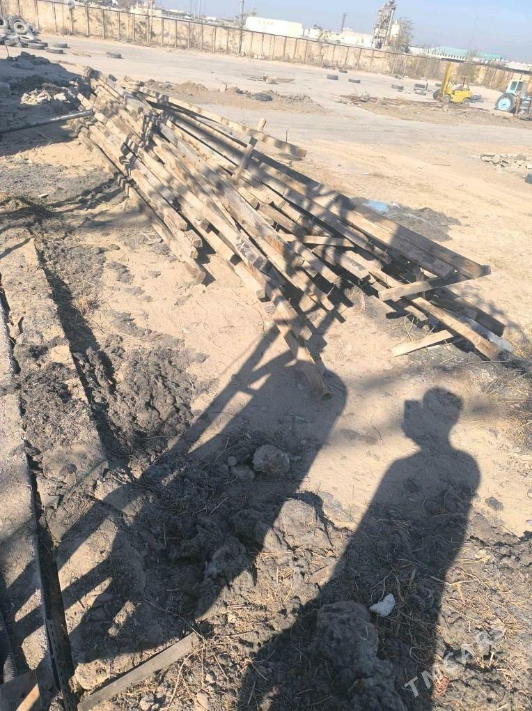 agac reyka - Büzmeýin - img 3