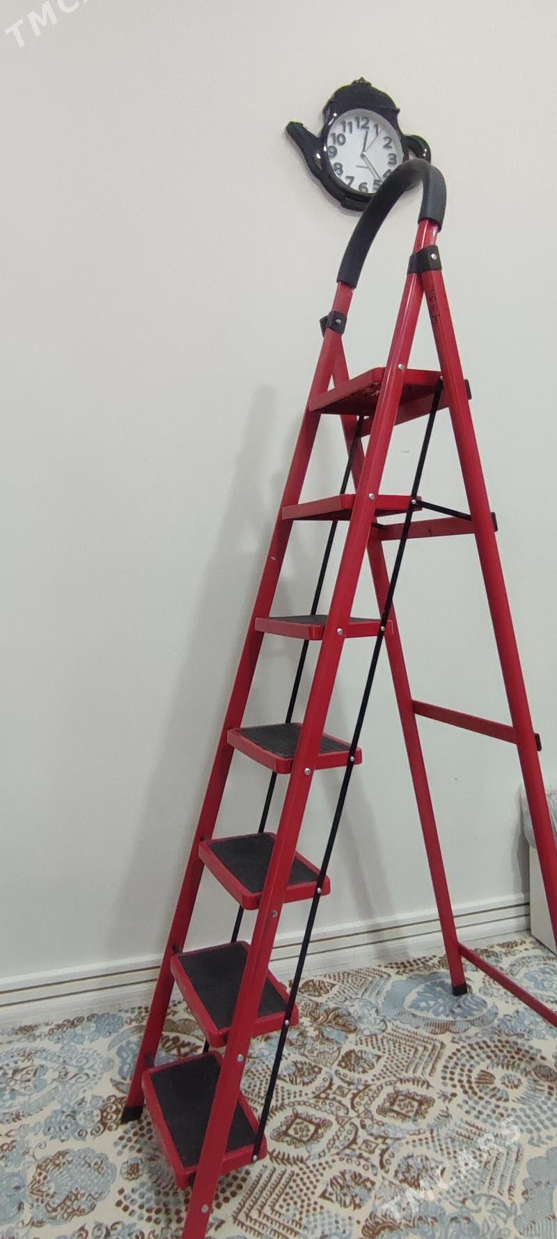 Merdiwan lesnisca - Gökje - img 3