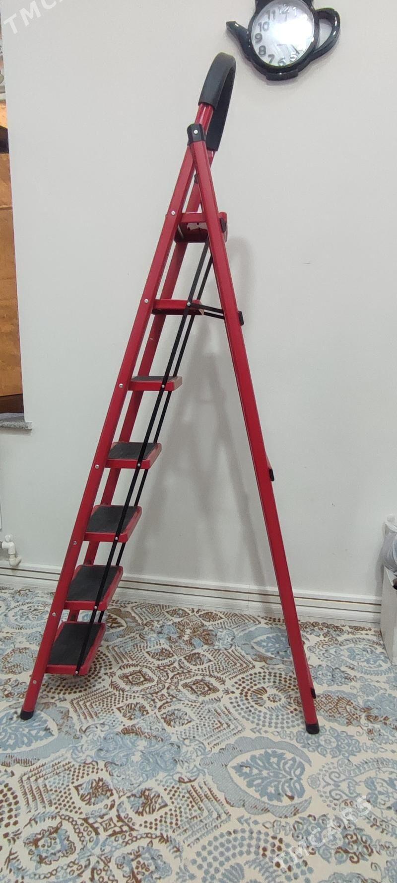 Merdiwan lesnisca - Gökje - img 2