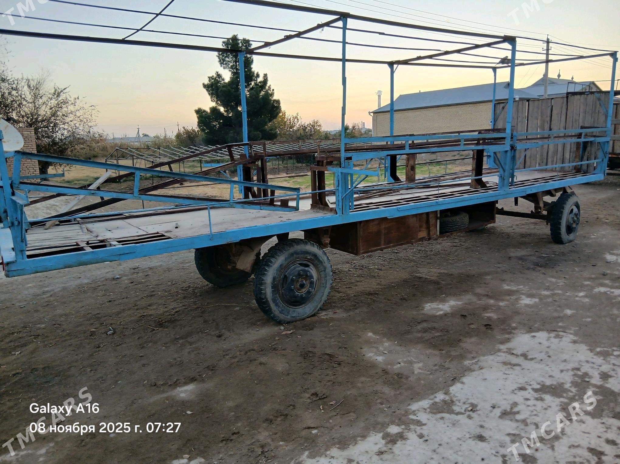 Ary telesge - Мары - img 2