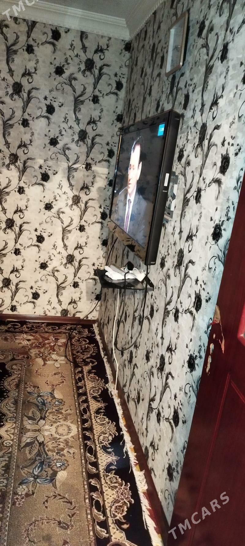 satlyk jay - Seýdi - img 1