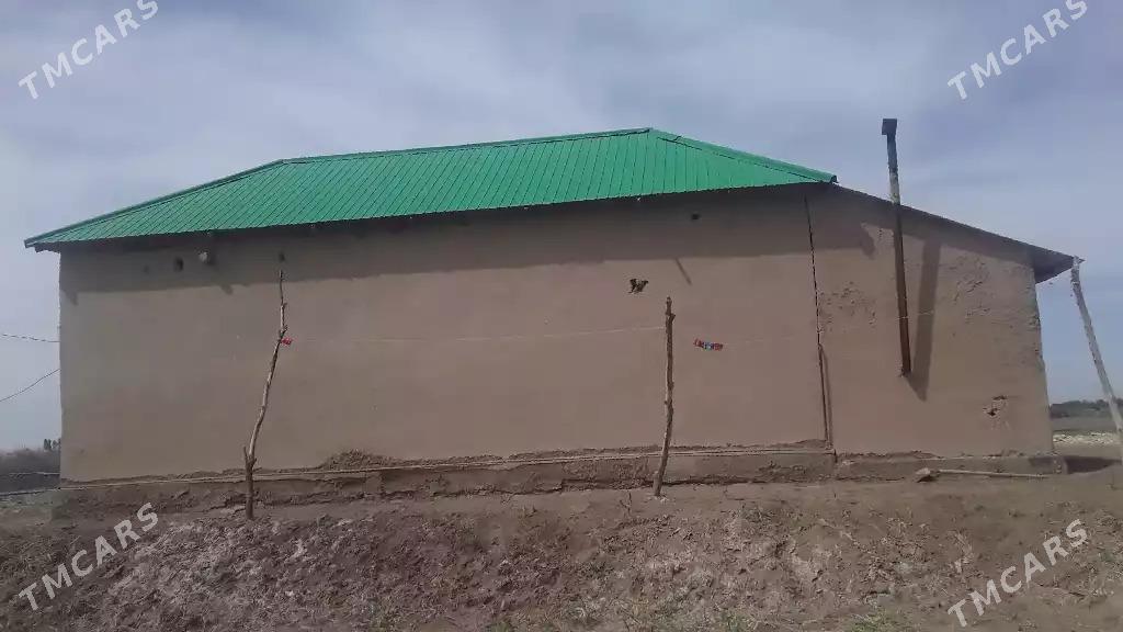 Satlyk jay - етр. Туркменбаши - img 2