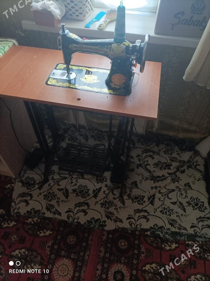 tikin masyn - Murgap - img 2