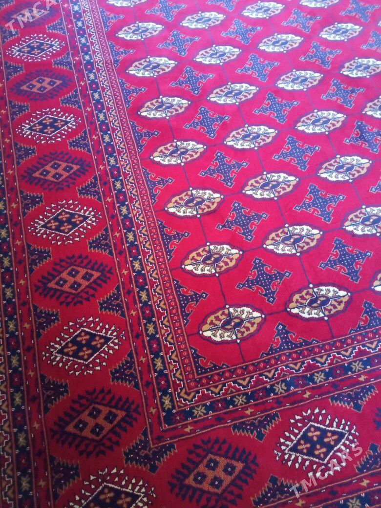 haly - Balkanabat - img 2