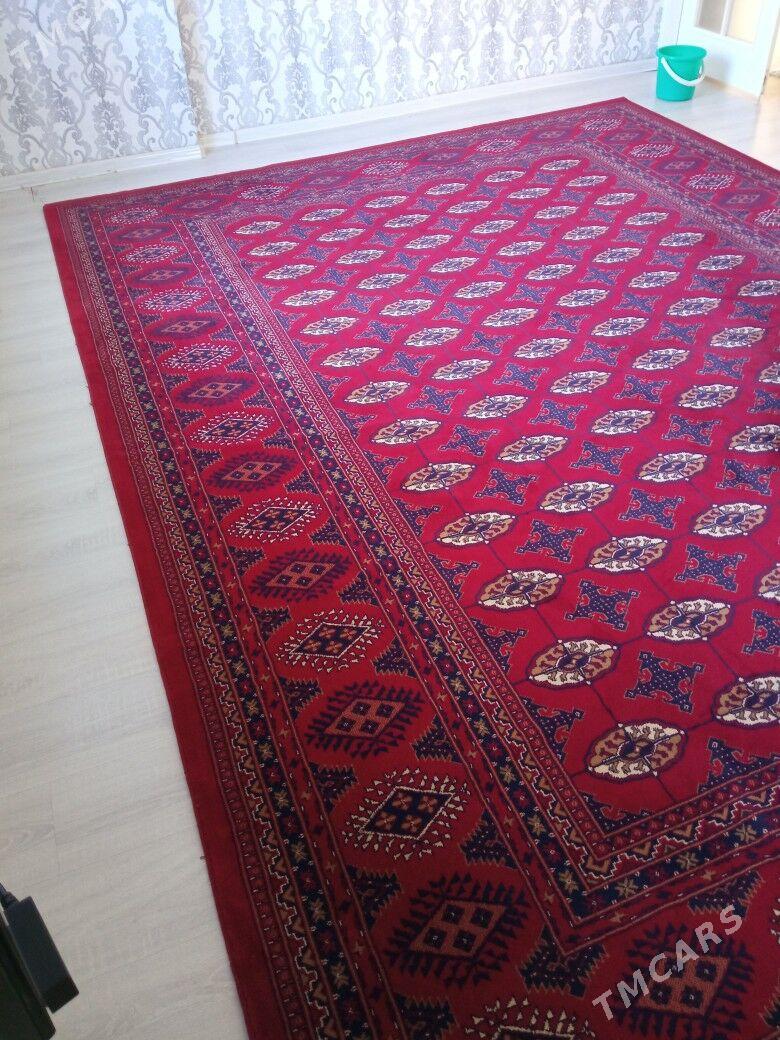 haly - Balkanabat - img 4