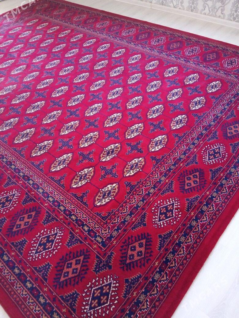 haly - Balkanabat - img 3