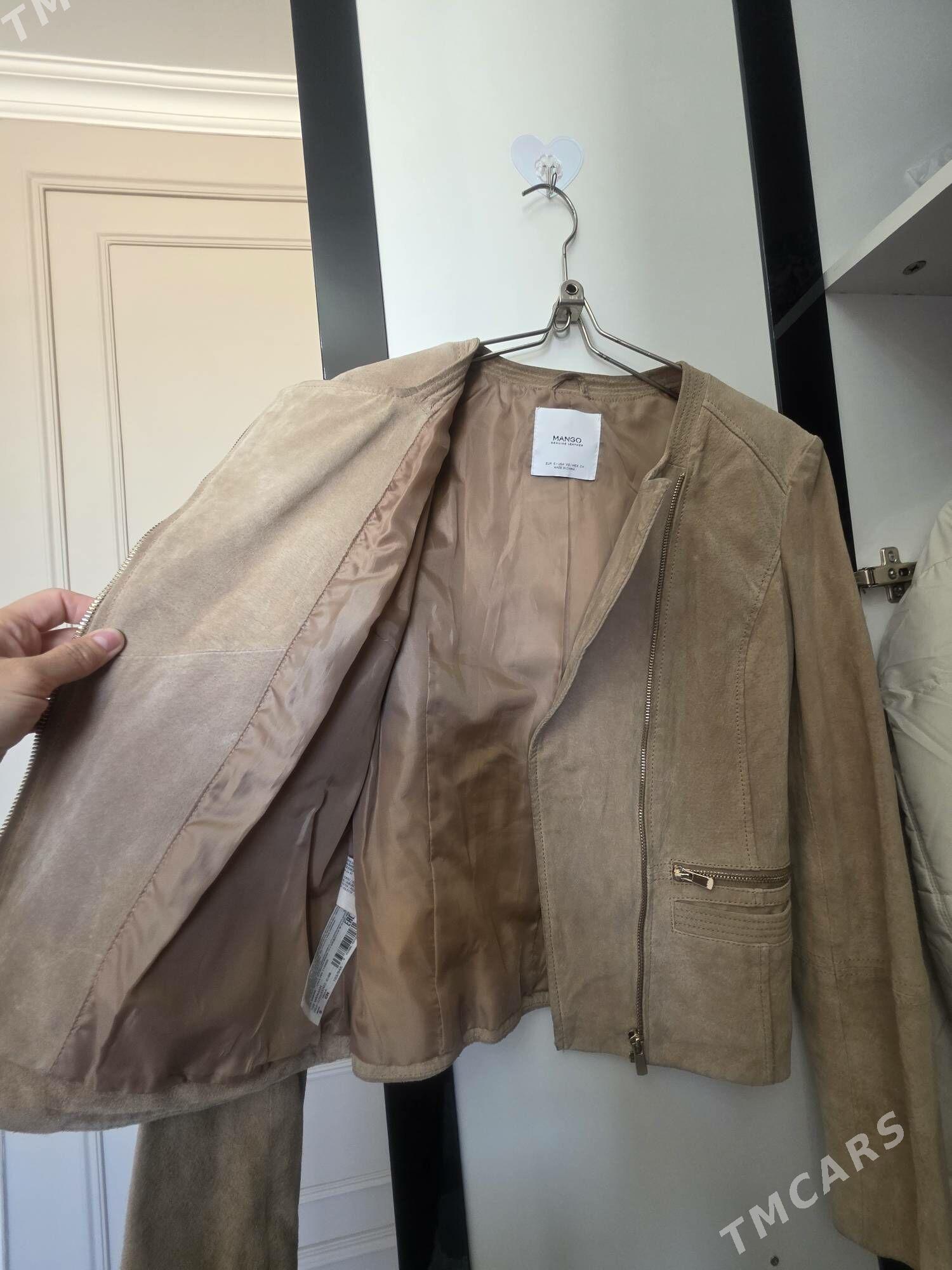 krek koja - Gurtly - img 2