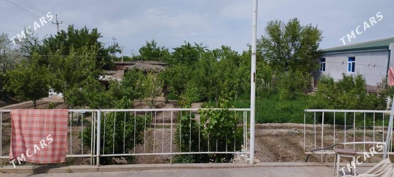 SATLYK DAÇA BERZENKANAL - Türkmenabat - img 10