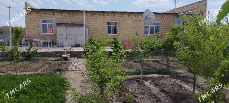 SATLYK DAÇA BERZENKANAL - Türkmenabat - img 9