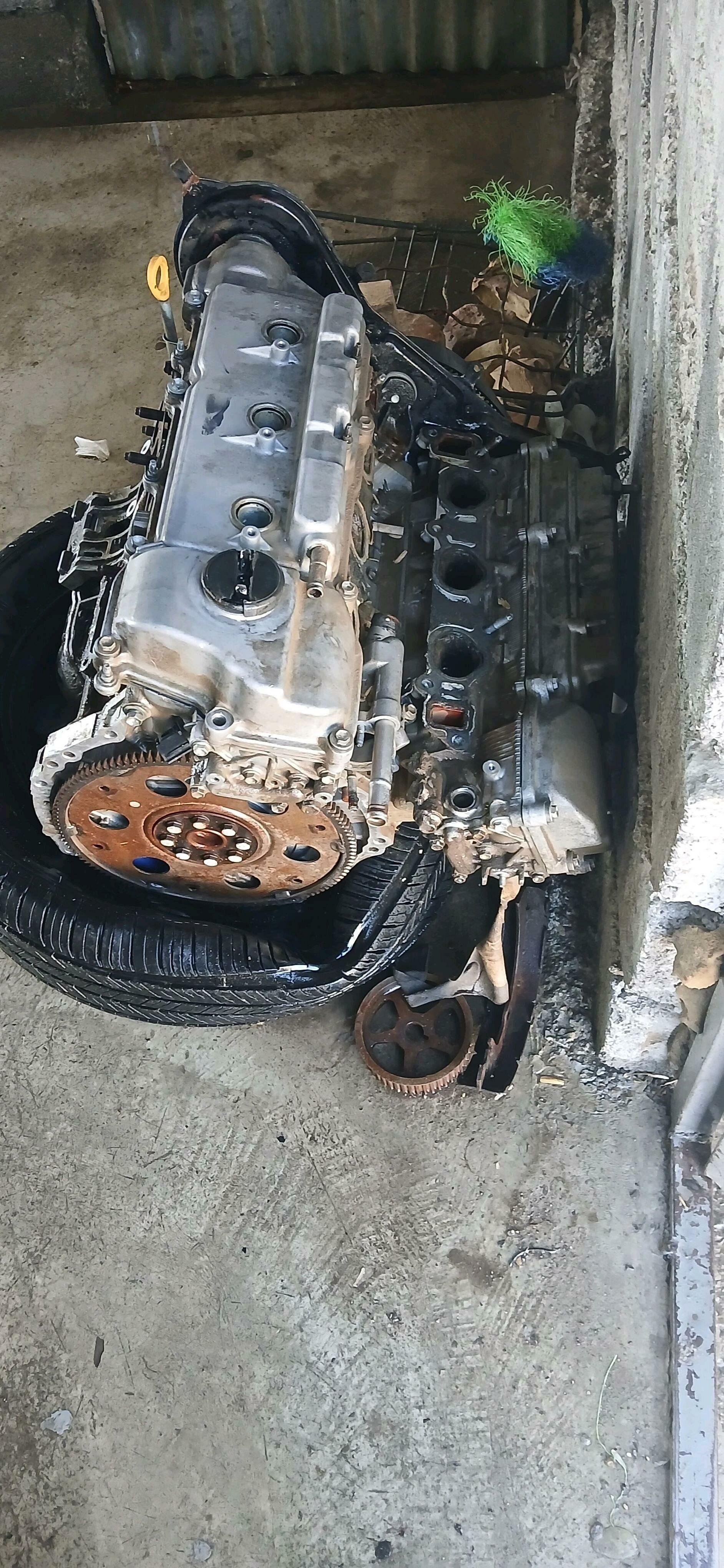 Duty 3lik mator 8 000 TMT - Änew - img 3