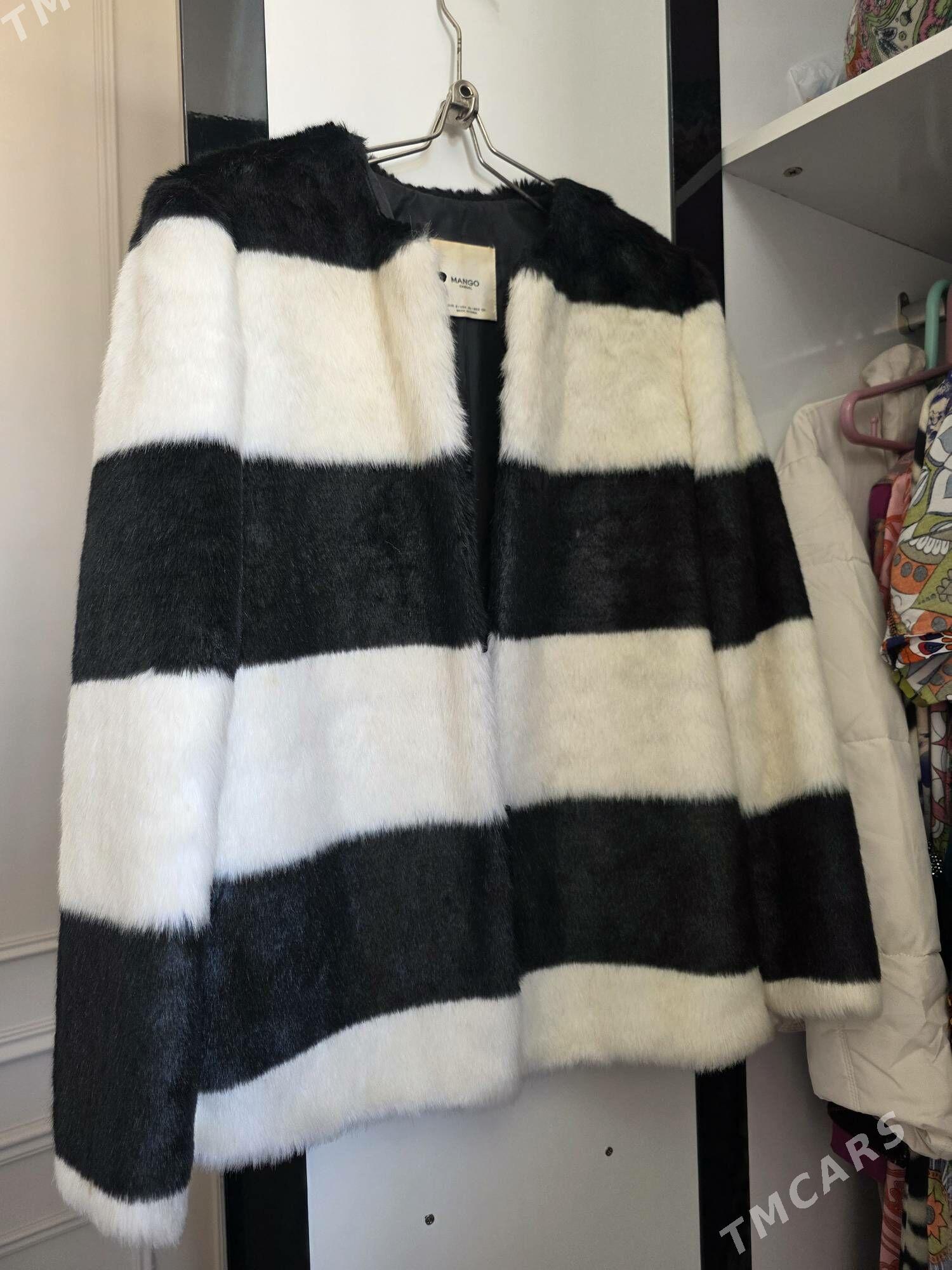 shuba - Gurtly - img 2