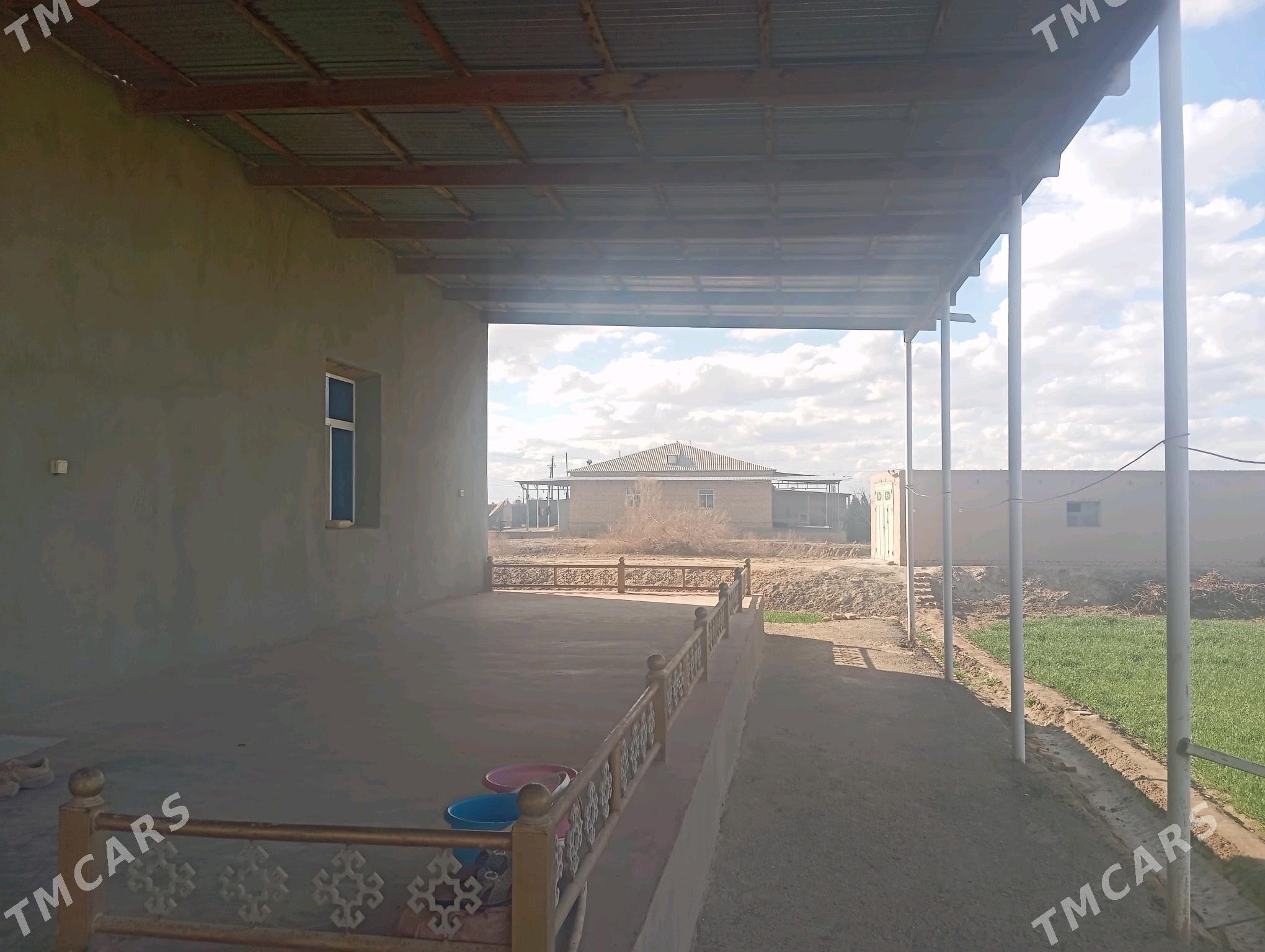 satlyk jay - Гороглы (Тагта) - img 1