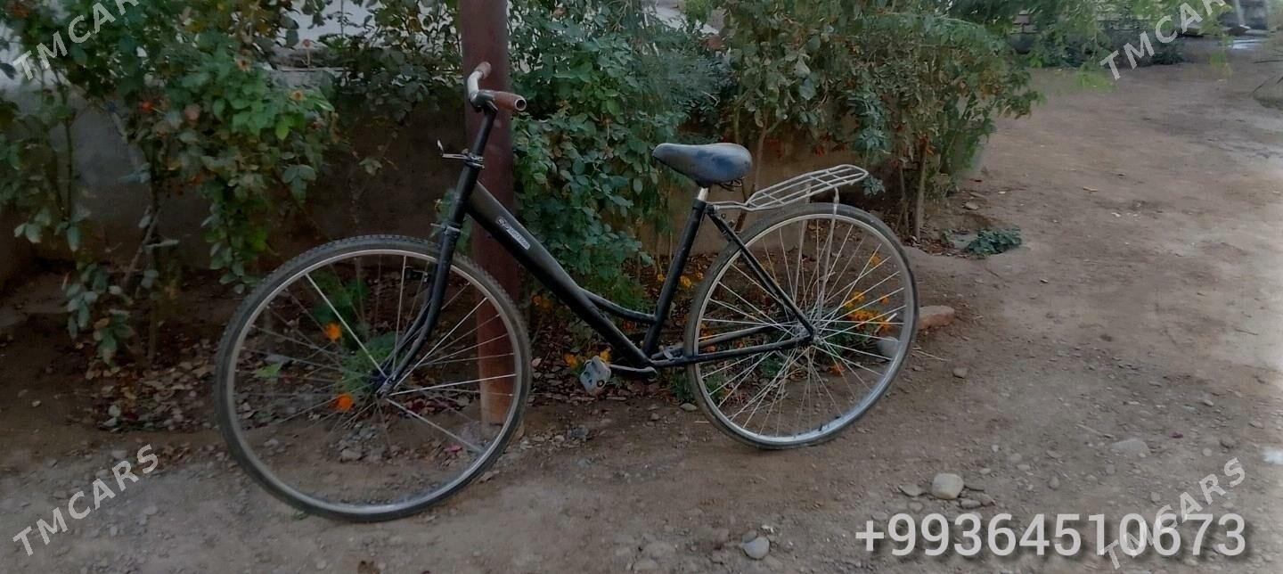 Tigir - Теджен - img 2