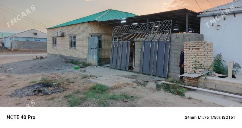 jay bugdaýlyda - Ak bugdaý etraby - img 1