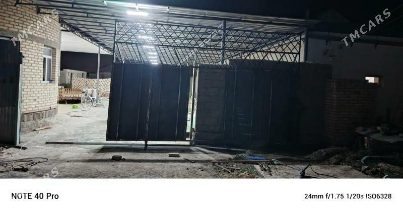 jay bugdaýlyda - Ak bugdaý etraby - img 2