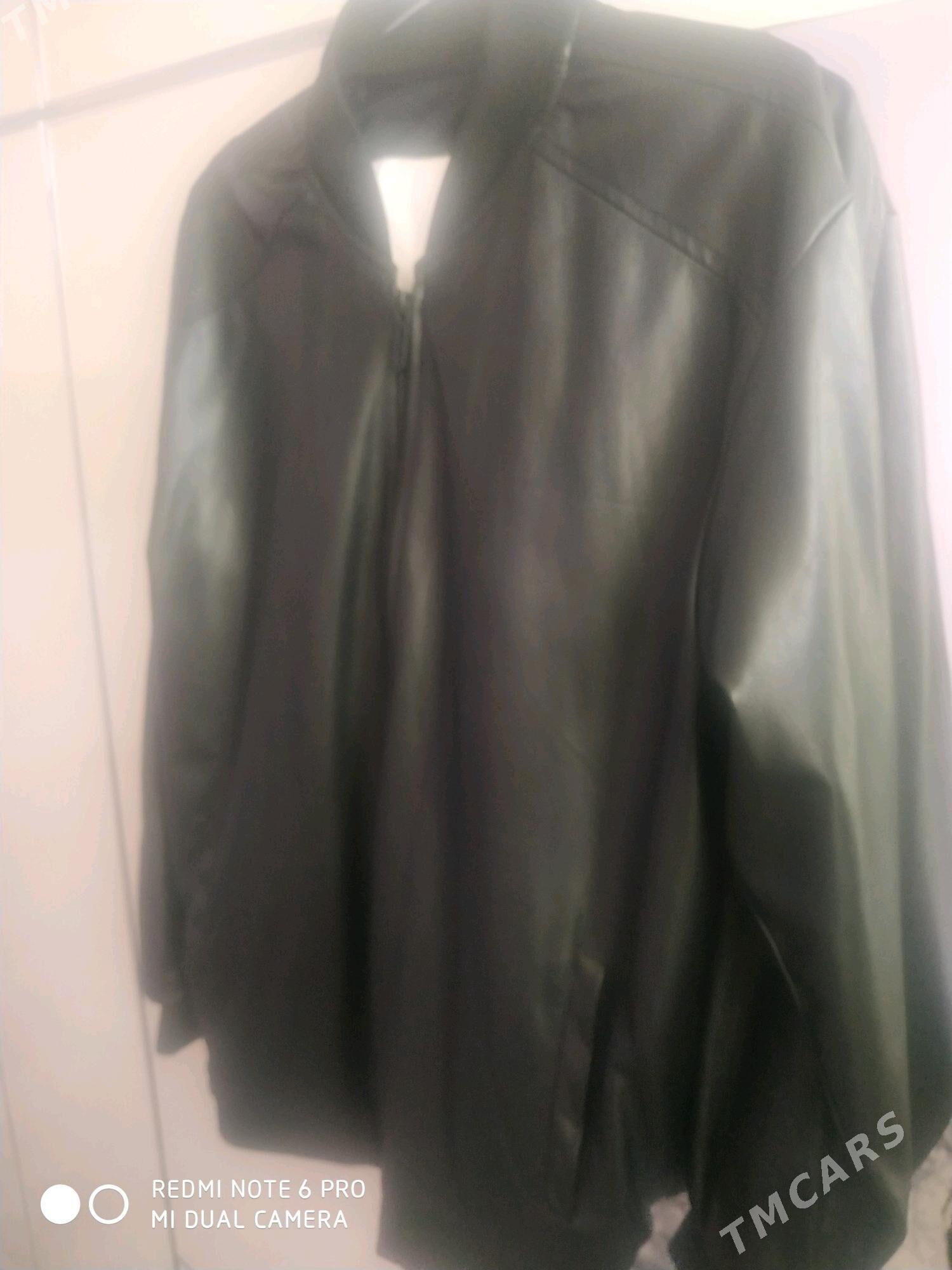 Koźa  kurtga - Aşgabat - img 2