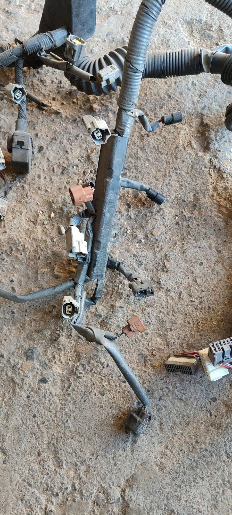 Awalon tok 2 000 TMT - Mary - img 2