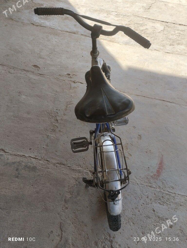 welsepet tigir - Murgap - img 3