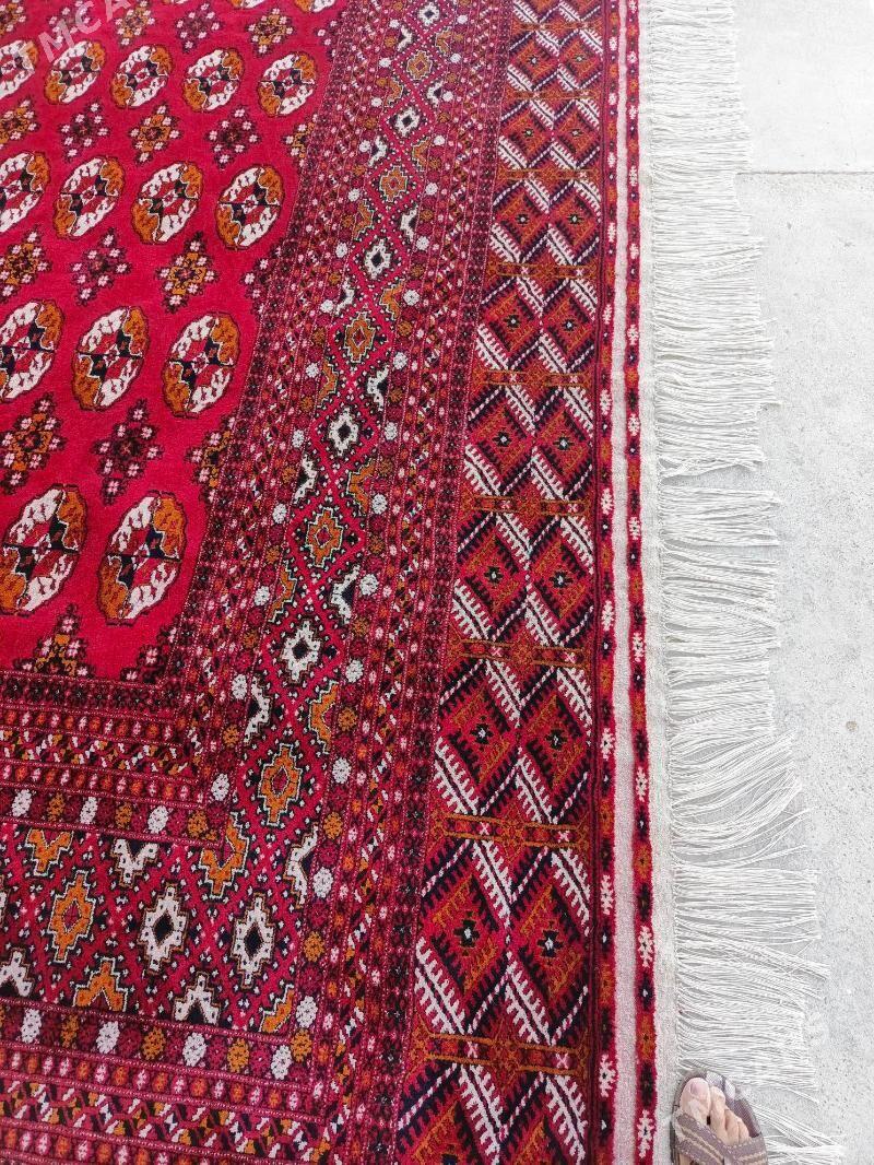 Haly - Бахарден - img 3