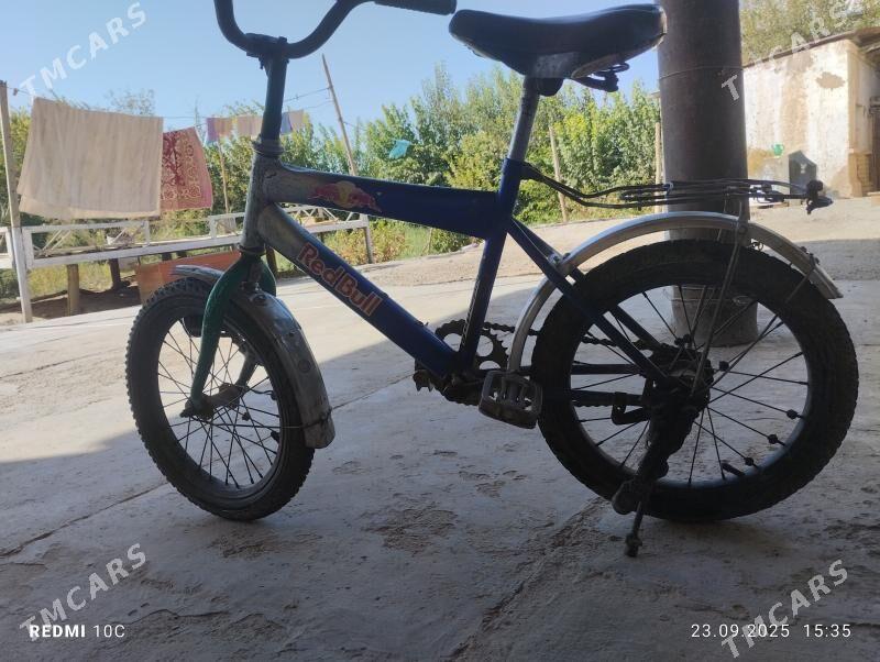 welsepet tigir - Murgap - img 4