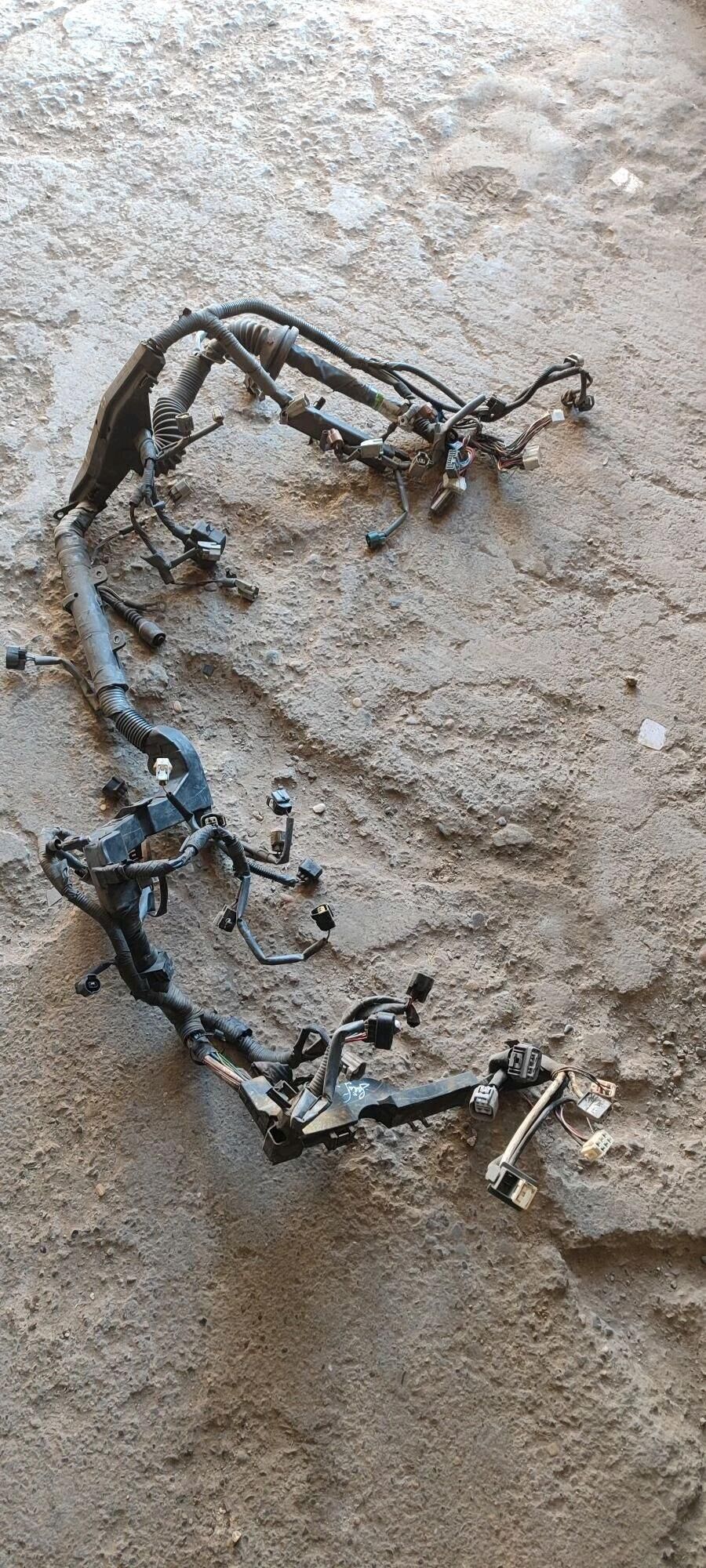 Awalon tok 2 000 TMT - Mary - img 3