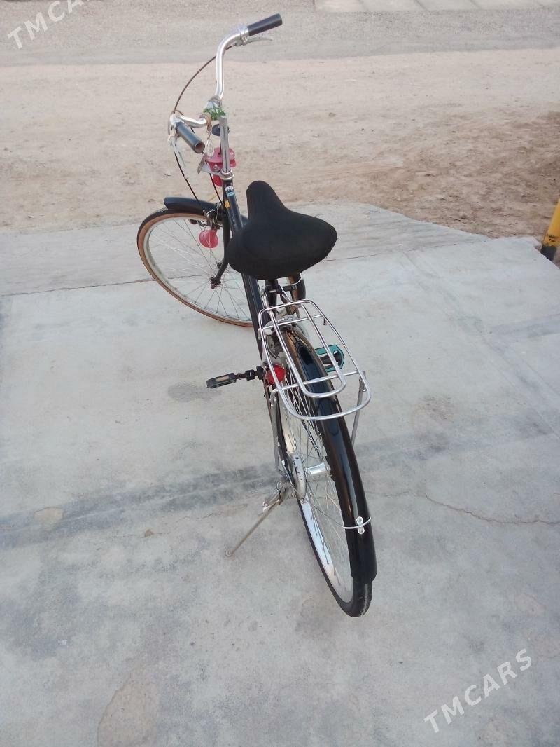 Satlyk welsepit - Mary - img 1