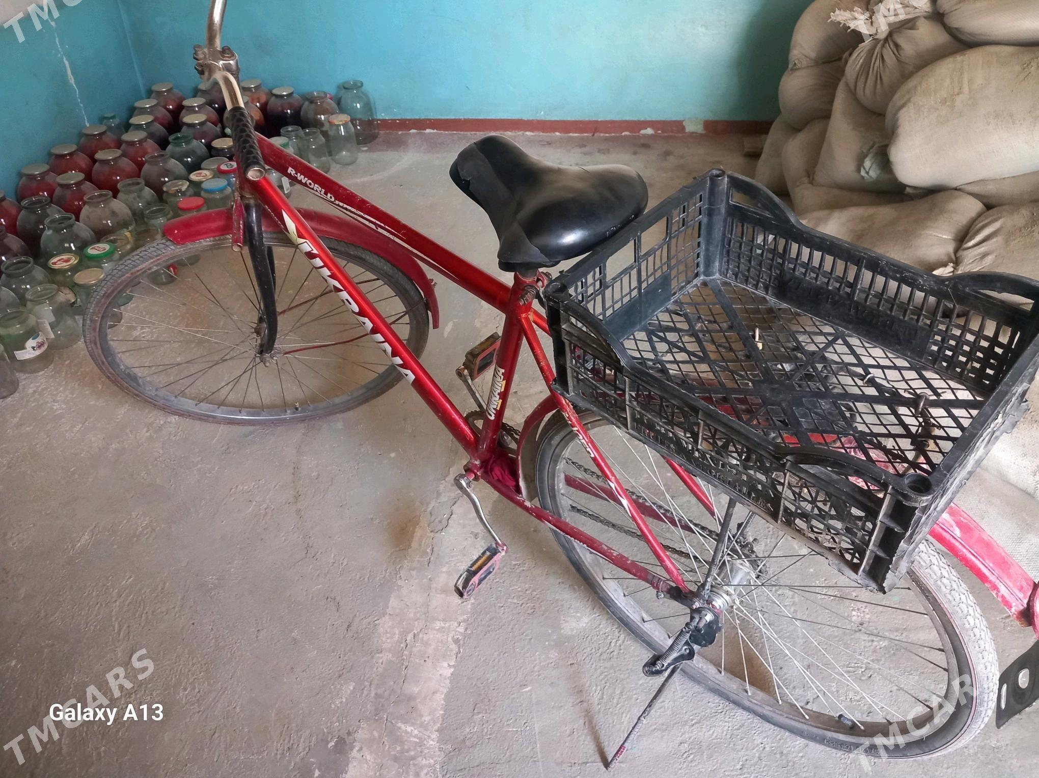 welisipit - Bäherden - img 2