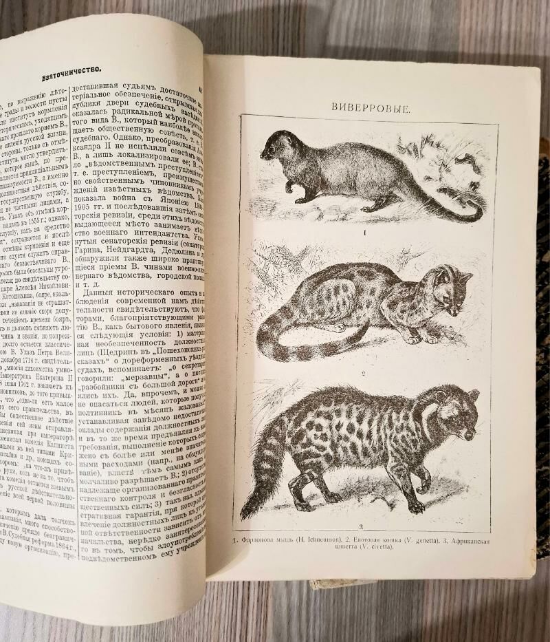 Книга Туркмения 1926 г. Книги - Aşgabat - img 9