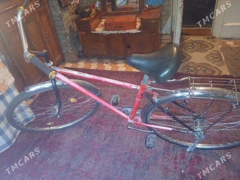 28 tigir - Hitrowka - img 2