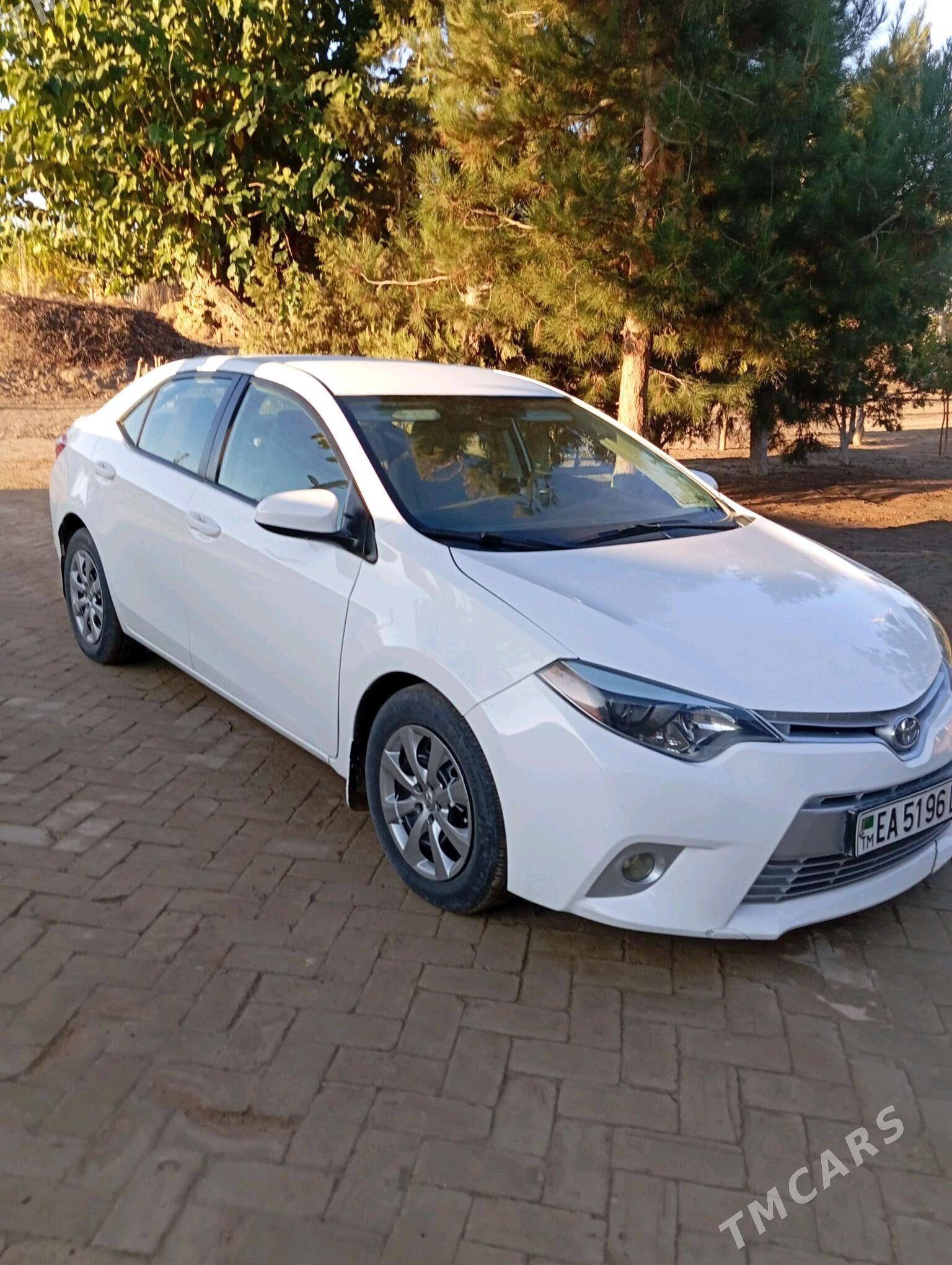 Toyota Corolla 2014 - 172 000 TMT - Halaç - img 2