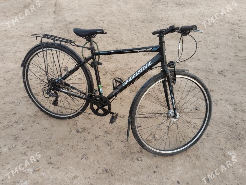 welsepet 27 - Mary - img 1