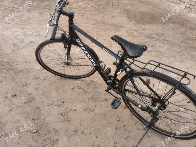 welsepet 27 - Mary - img 2