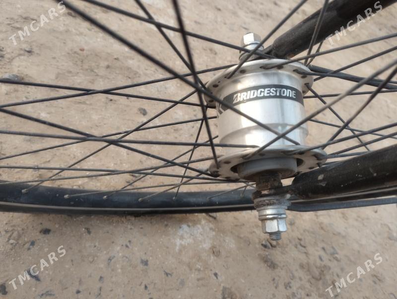 welsepet 27 - Mary - img 4