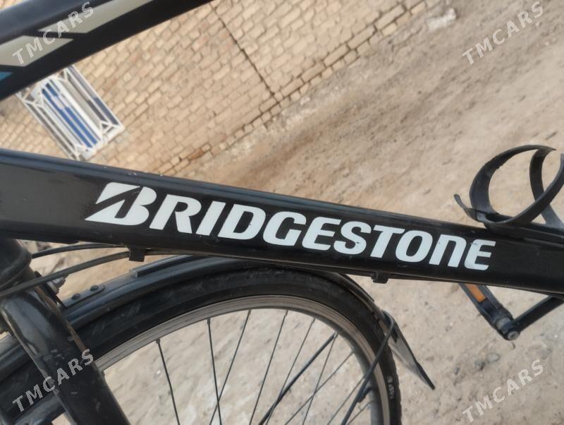 welsepet 27 - Mary - img 3