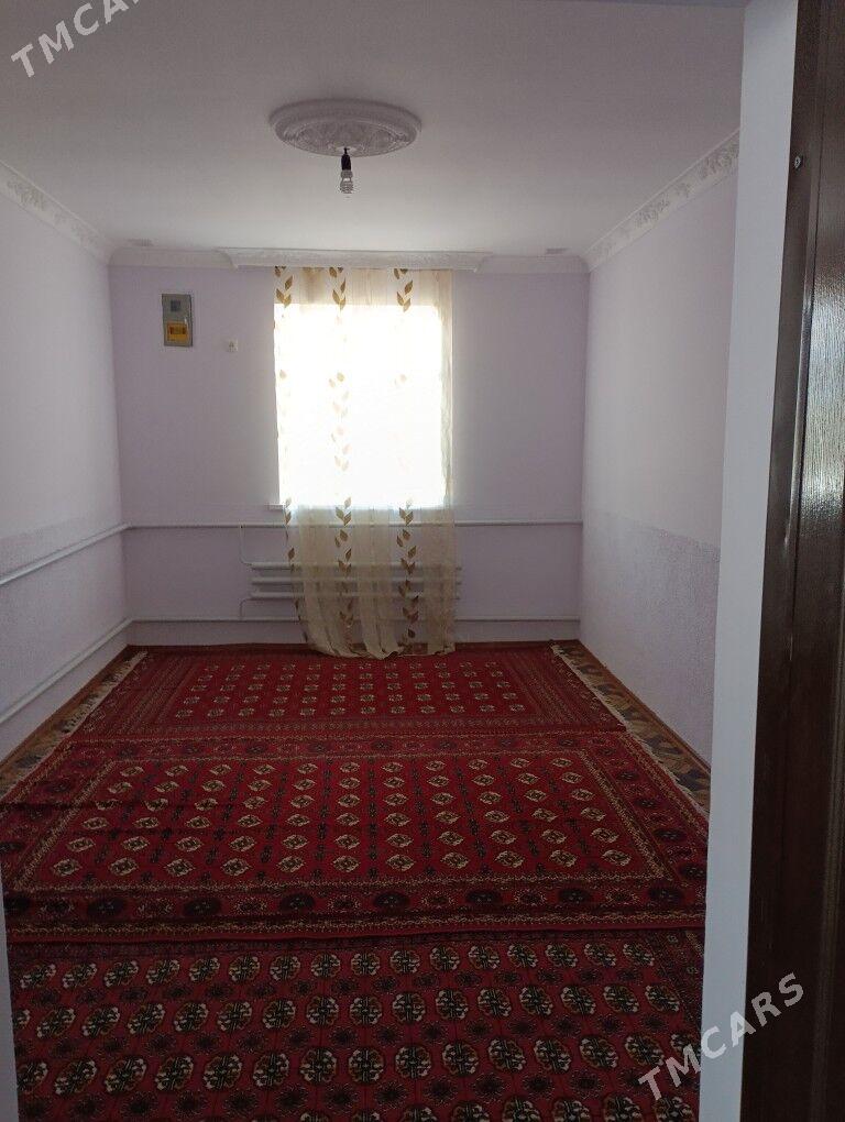 Daça  ekerançylyk ýer - Tagtabazar - img 11