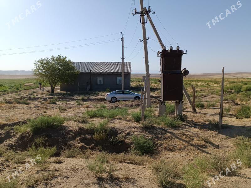 Daça  ekerançylyk ýer - Tagtabazar - img 5