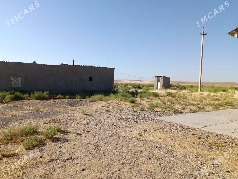 Daça  ekerançylyk ýer - Tagtabazar - img 7