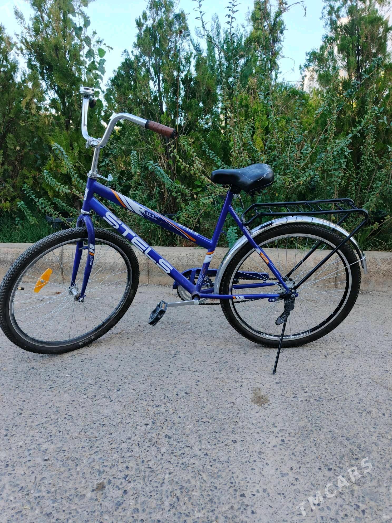 Stels tigir 26-lyk - Gurtly - img 2