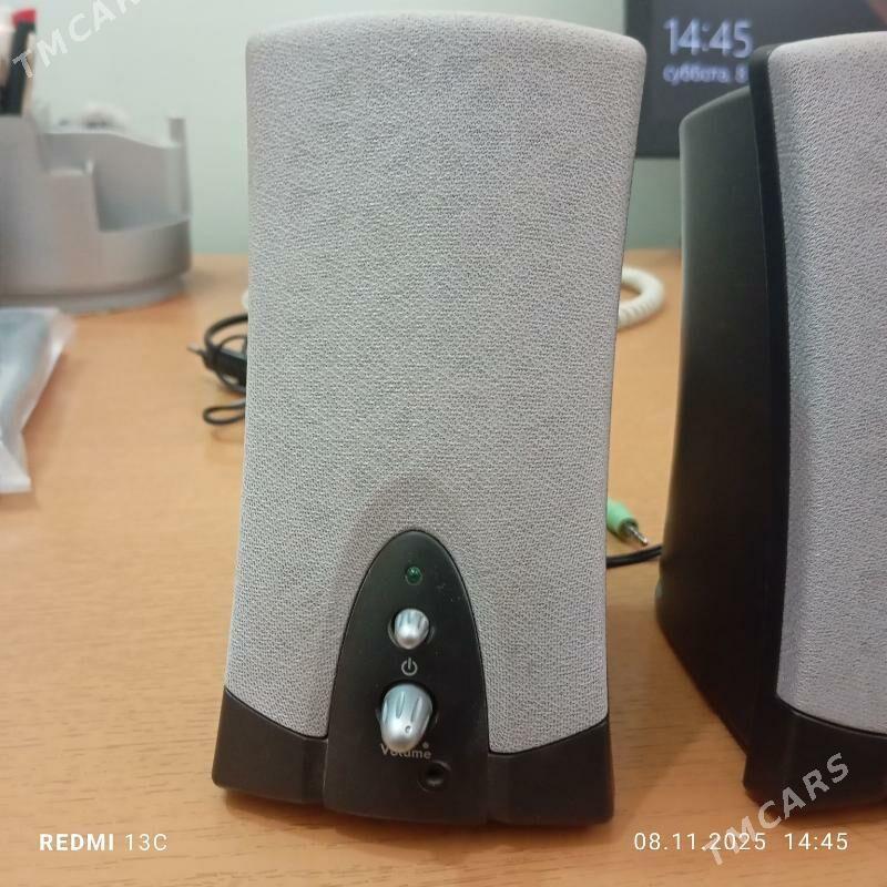 kolonka - Mary - img 1