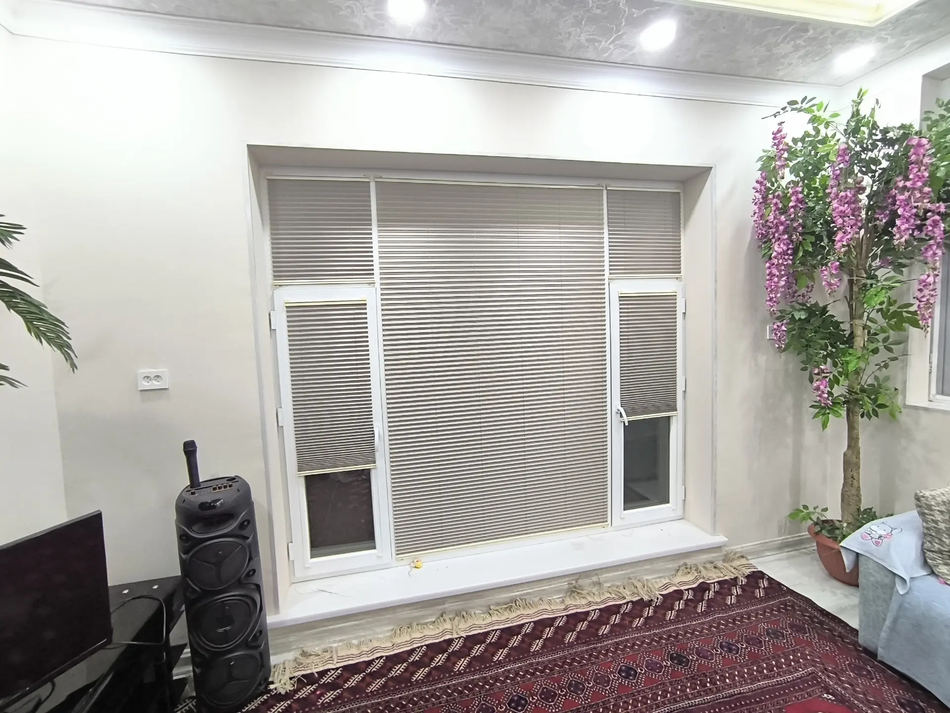 zalyuz žalyuz jalyuz жалюзи - Daşoguz - img 7