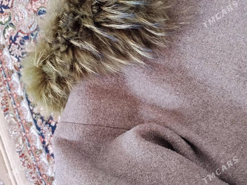 Palto - Дашогуз - img 3