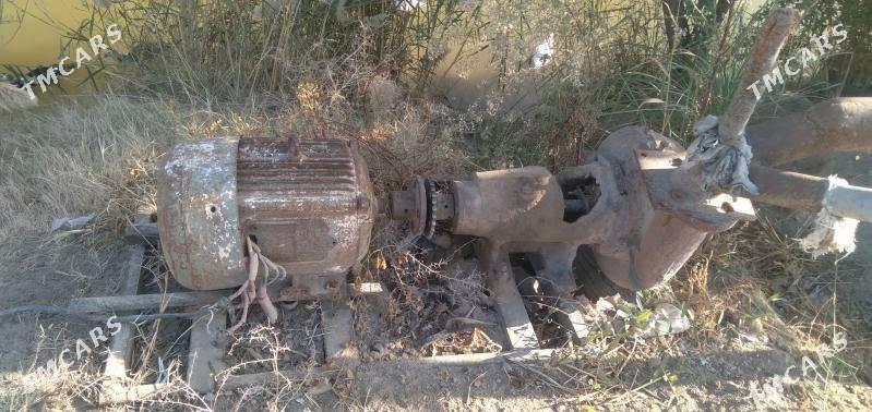 elektoromar - Гарабекевюл - img 2