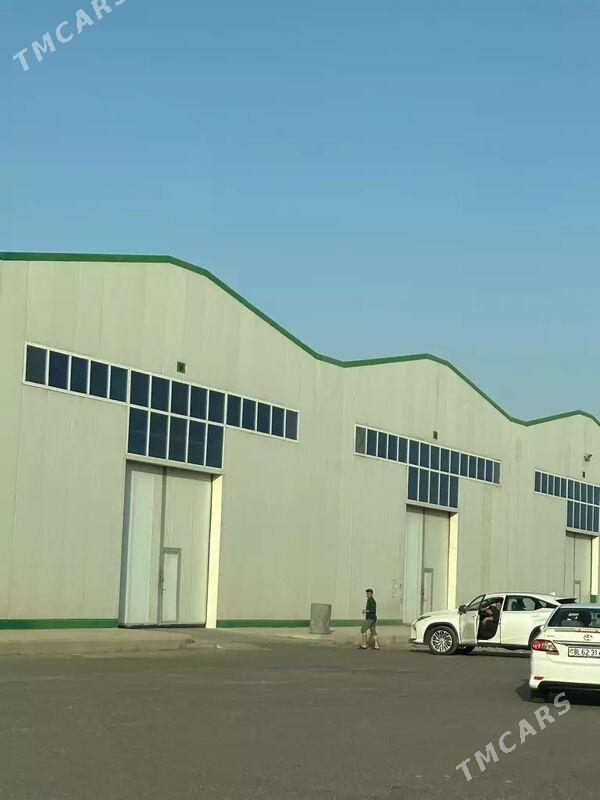 Ammar - Aşgabat - img 1