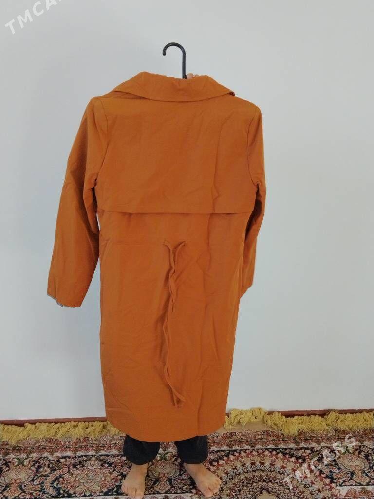 plash - Дашогуз - img 2