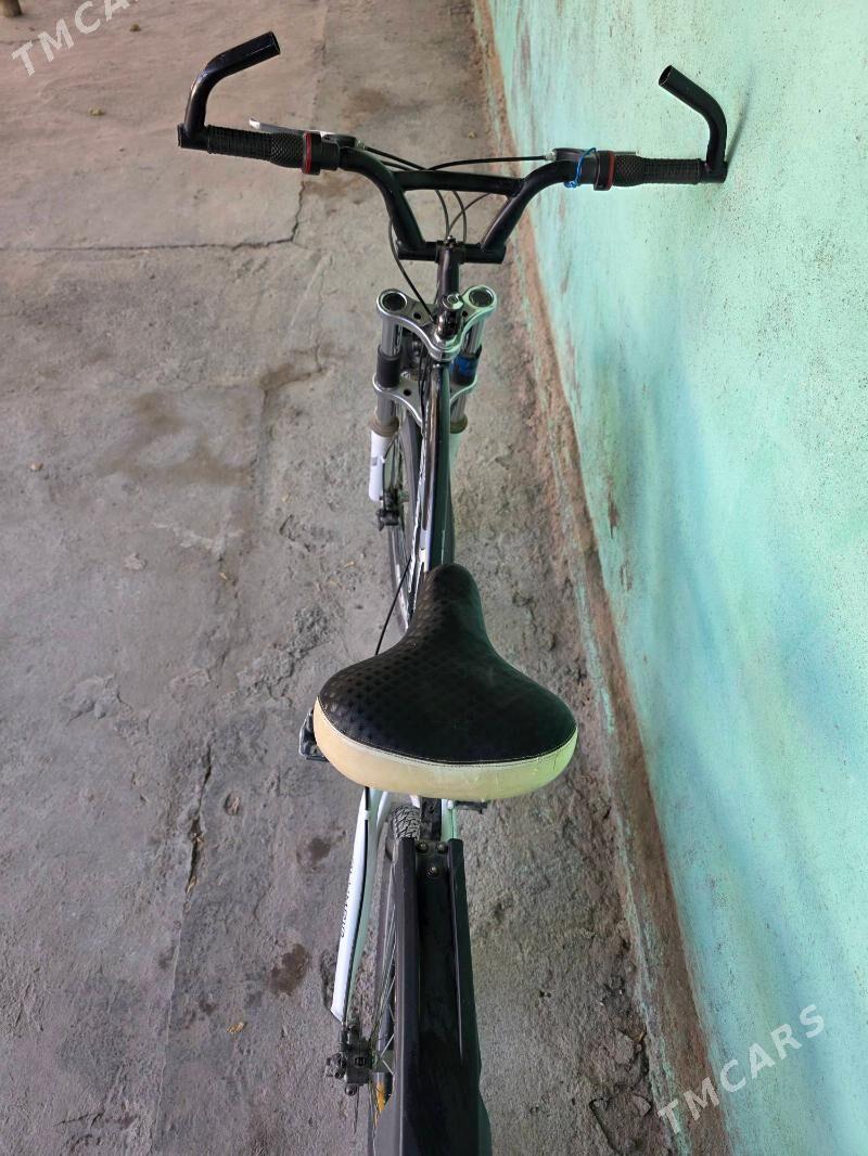 spartiwni tigir - Кака - img 4