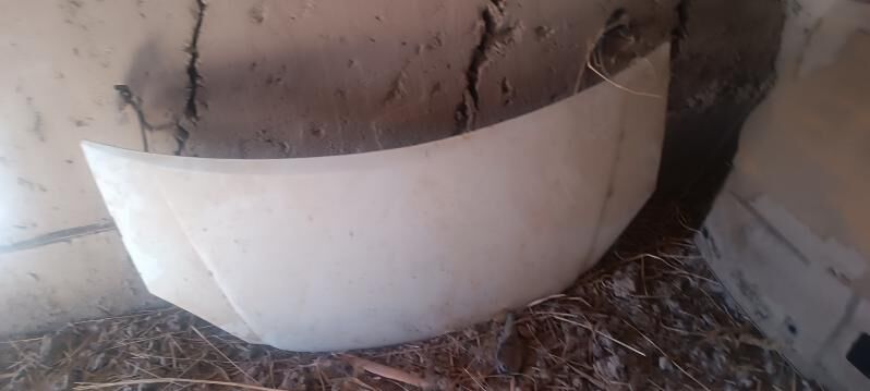 gazel morda 15 000 TMT - Губадаг - img 7